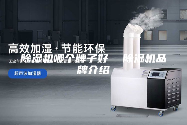 除湿机哪个牌子好  除湿机品牌介绍