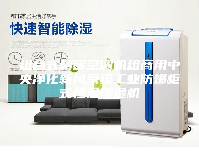组合式精密空调机组商用中央净化新风系统工业防爆柜式恒温恒湿机
