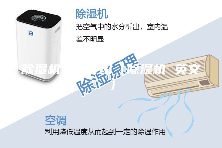 除湿机功能介绍（除湿机 英文）