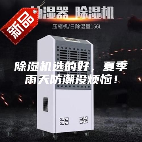 除湿机选的好，夏季雨天防潮没烦恼！