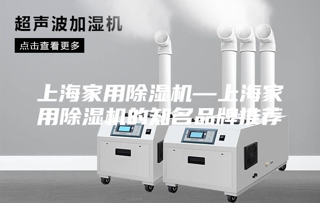 上海家用除湿机—上海家用除湿机的知名品牌推荐