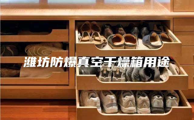 潍坊防爆真空干燥箱用途