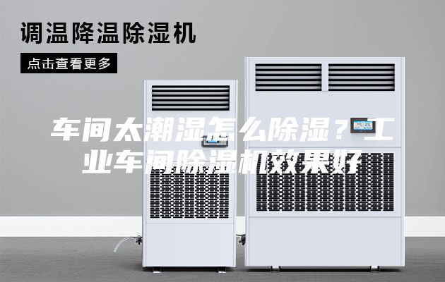 车间太潮湿怎么除湿？工业车间除湿机效果好