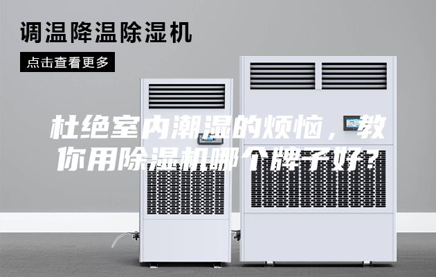 杜绝室内潮湿的烦恼，教你用除湿机哪个牌子好？