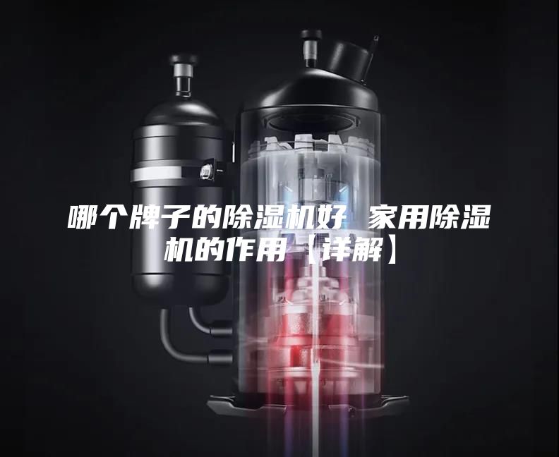 哪个牌子的除湿机好 家用除湿机的作用【详解】