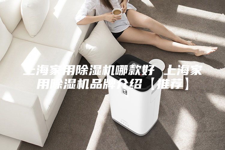 上海家用除湿机哪款好 上海家用除湿机品牌介绍【推荐】