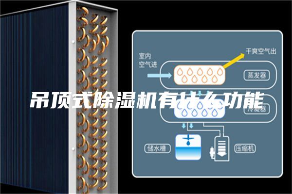 吊顶式除湿机有什么功能