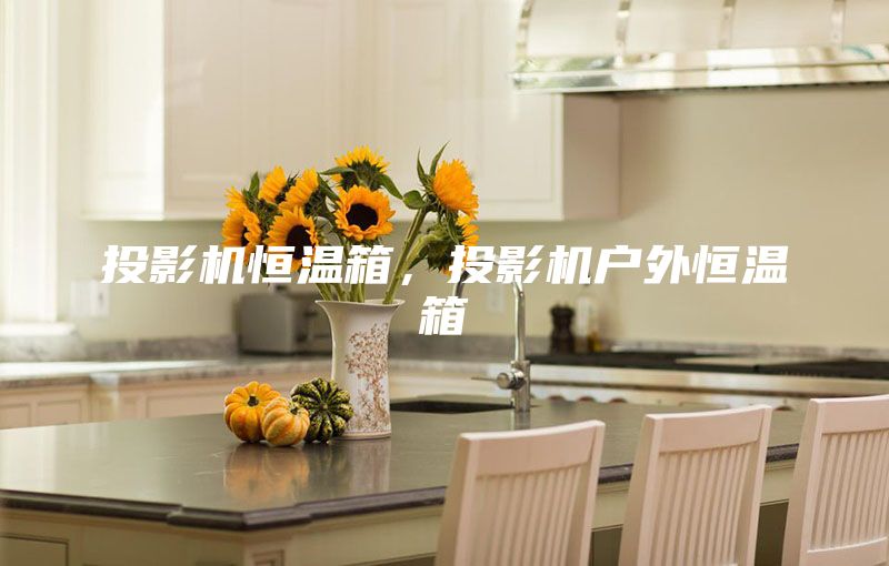投影机恒温箱，投影机户外恒温箱