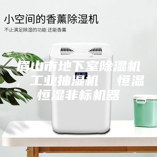 眉山市地下室除湿机，工业抽湿机  恒温恒湿非标机器