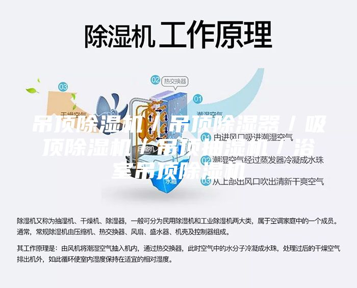 吊顶除湿机／吊顶除湿器／吸顶除湿机／吊顶抽湿机／浴室吊顶除湿机