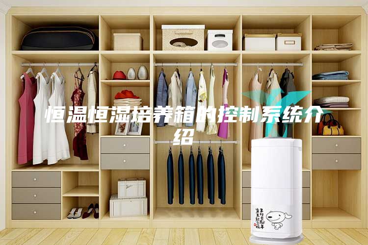 恒温恒湿培养箱的控制系统介绍
