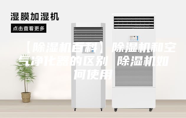 【除湿机百科】除湿机和空气净化器的区别 除湿机如何使用
