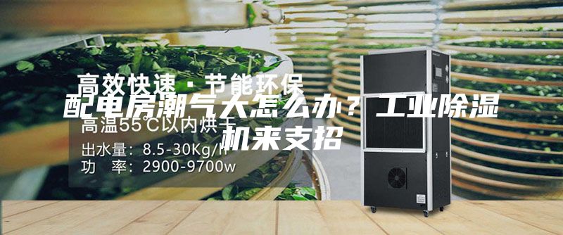 配电房潮气大怎么办？工业除湿机来支招