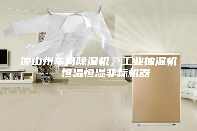 凉山州车间除湿机，工业抽湿机  恒温恒湿非标机器
