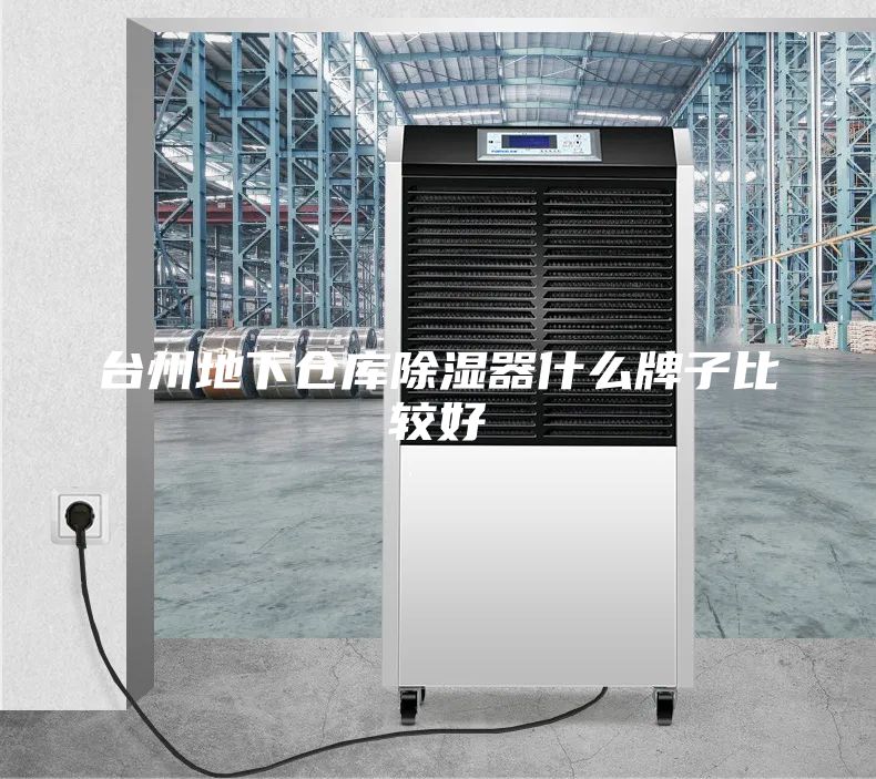 台州地下仓库除湿器什么牌子比较好