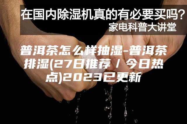 普洱茶怎么样抽湿-普洱茶排湿(27日推荐／今日热点)2023已更新