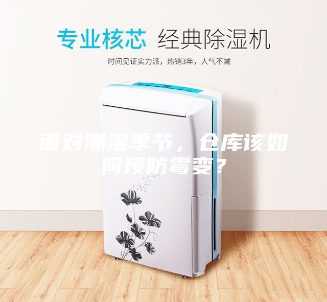 面对潮湿季节，仓库该如何预防霉变？