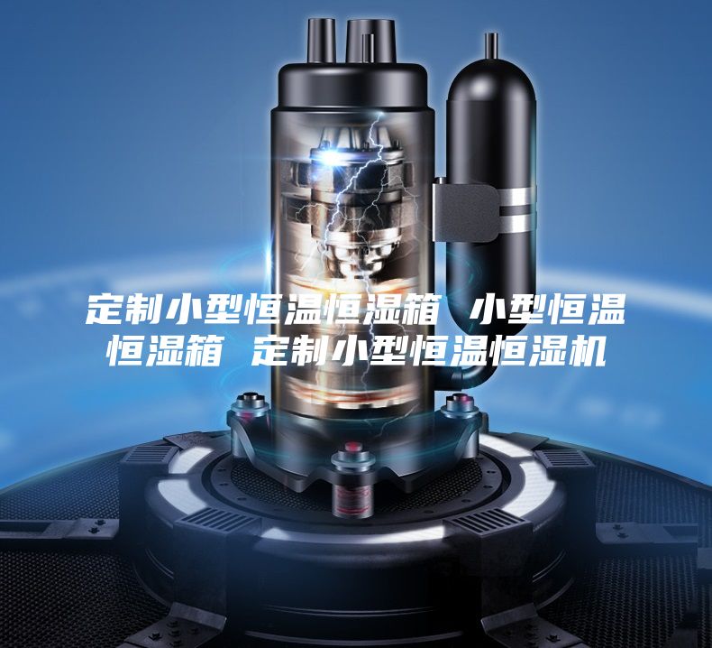 定制小型恒温恒湿箱 小型恒温恒湿箱 定制小型恒温恒湿机