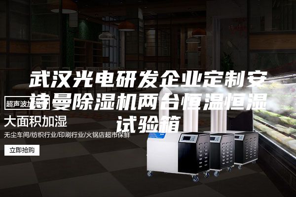 武汉光电研发企业定制安诗曼除湿机两台恒温恒湿试验箱
