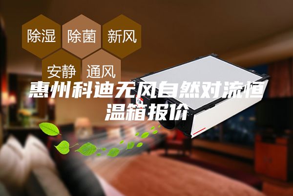 惠州科迪无风自然对流恒温箱报价