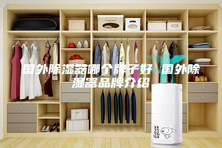 国外除湿器哪个牌子好 国外除湿器品牌介绍