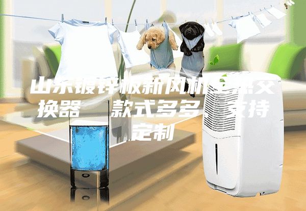 山东镀锌板新风机全热交换器  款式多多、支持定制