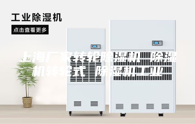 上海厂家转轮除湿机 除湿机转轮式 除湿机工业