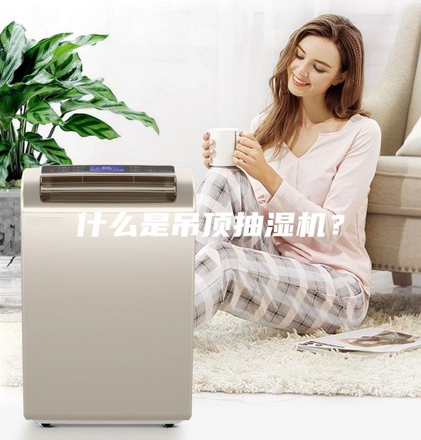 什么是吊顶抽湿机？