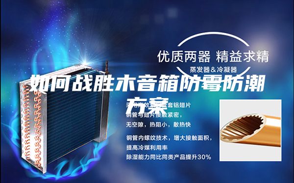 如何战胜木音箱防霉防潮方案