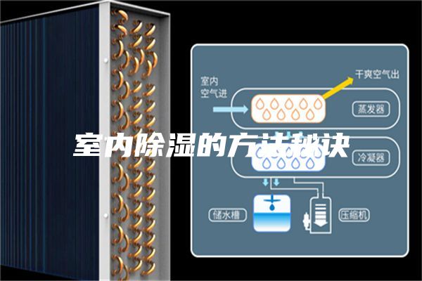 室内除湿的方法秘诀