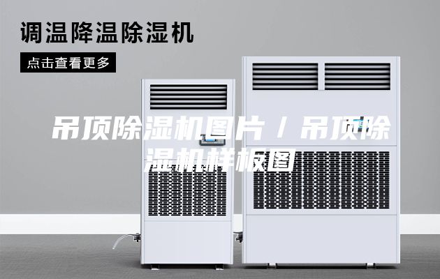 吊顶除湿机图片／吊顶除湿机样板图