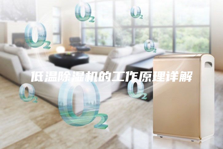 低温除湿机的工作原理详解