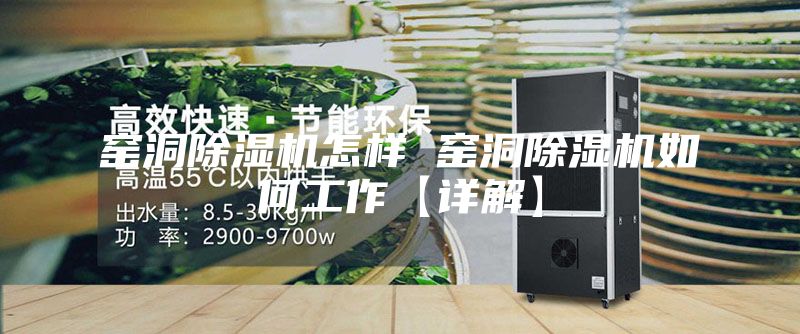 窑洞除湿机怎样 窑洞除湿机如何工作【详解】