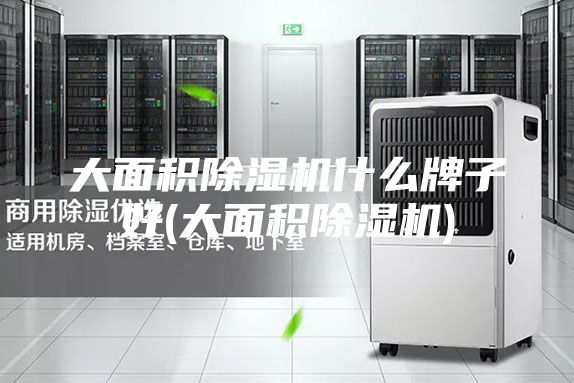 大面积除湿机什么牌子好(大面积除湿机)