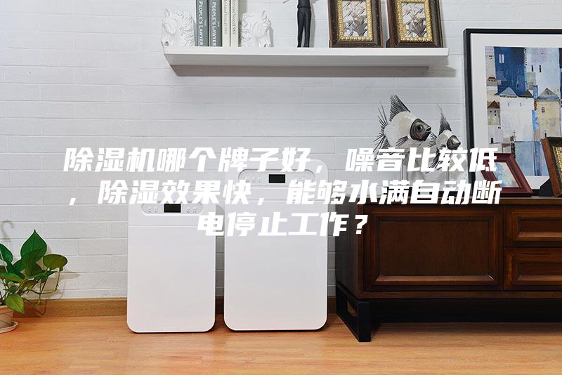 除湿机哪个牌子好，噪音比较低，除湿效果快，能够水满自动断电停止工作？