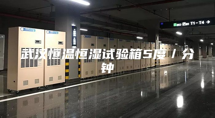 武汉恒温恒湿试验箱5度／分钟