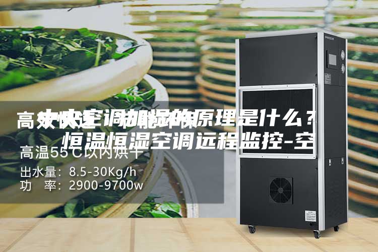 中央空调加湿的原理是什么？ 恒温恒湿空调远程监控-空