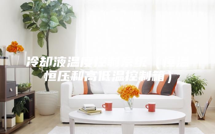 冷却液温度控制系统（恒温恒压和高低温控制箱）