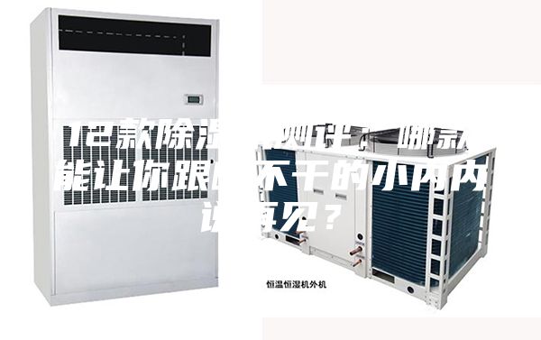 12款除湿机测评：哪款能让你跟晒不干的小内内说再见？