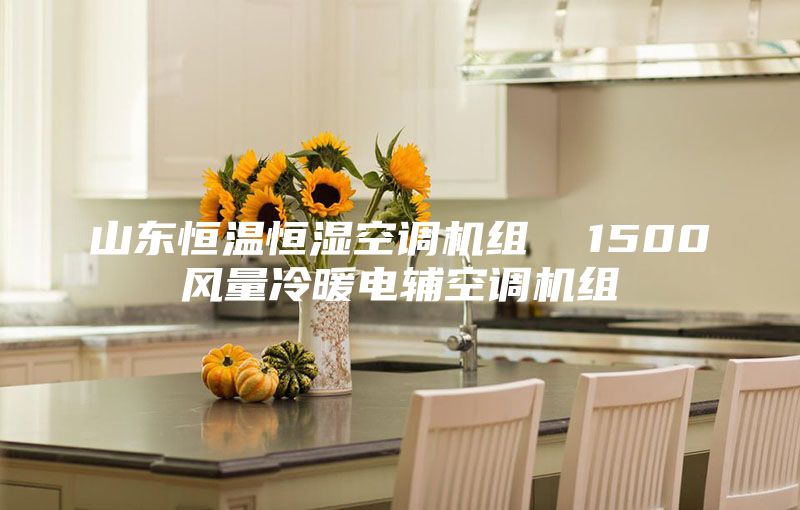 山东恒温恒湿空调机组  1500风量冷暖电辅空调机组
