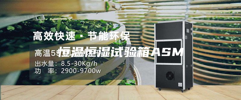 恒温恒湿试验箱ASM