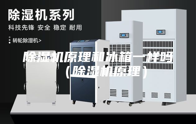 除湿机原理和冰箱一样吗（除湿机原理）