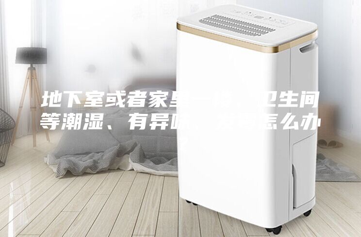 地下室或者家里一楼、卫生间等潮湿、有异味、发霉怎么办？