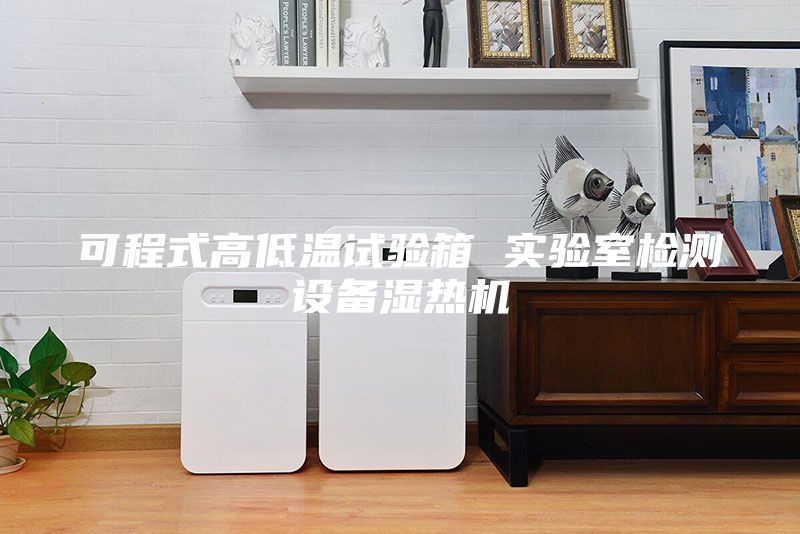 可程式高低温试验箱 实验室检测设备湿热机