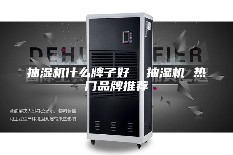 抽湿机什么牌子好  抽湿机 热门品牌推荐