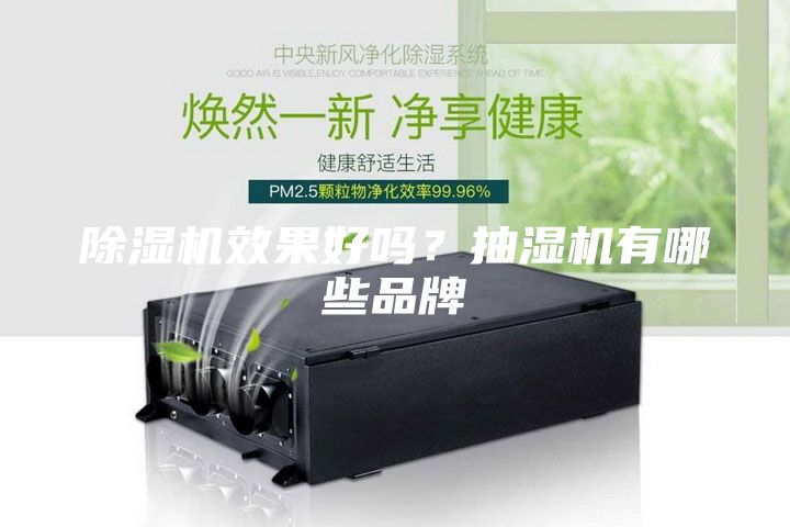 除湿机效果好吗？抽湿机有哪些品牌