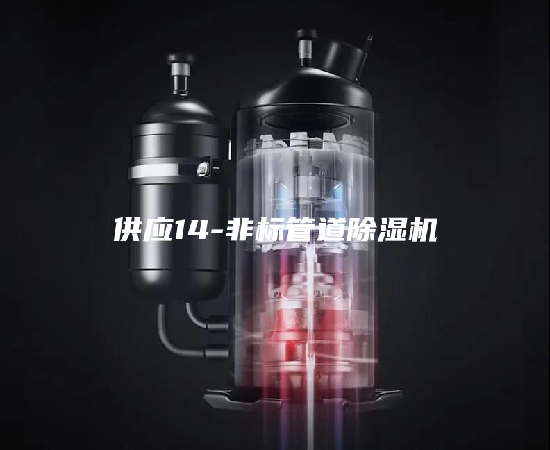 供应14-非标管道除湿机