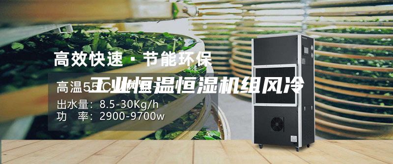 工业恒温恒湿机组风冷
