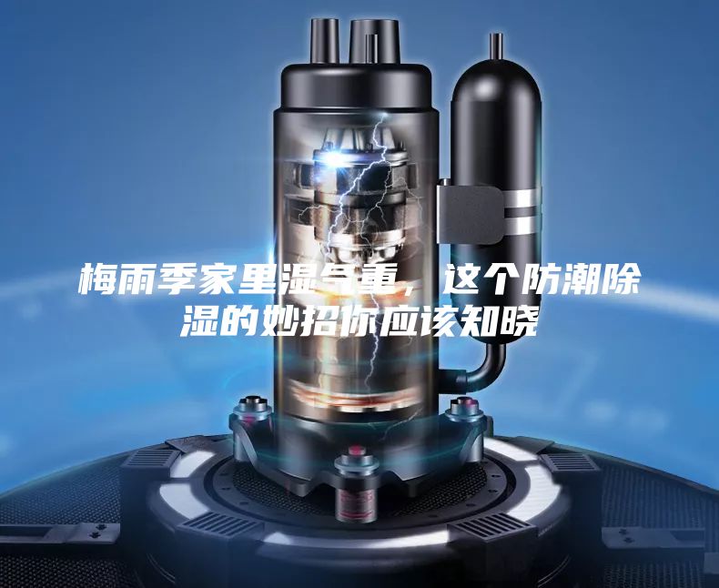 梅雨季家里湿气重，这个防潮除湿的妙招你应该知晓