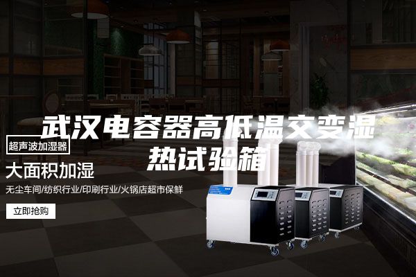 武汉电容器高低温交变湿热试验箱